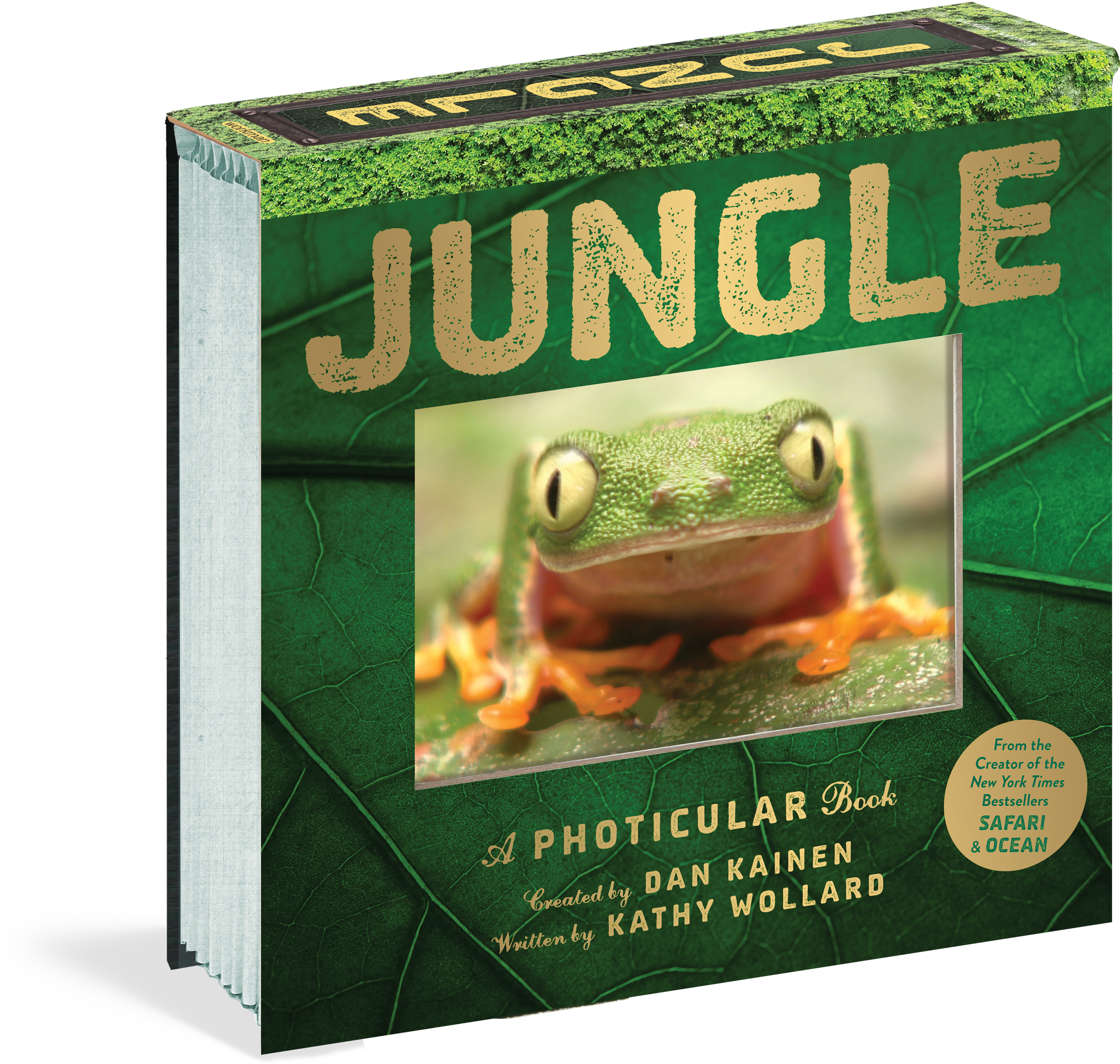 Jungle Png 2411 X 2290