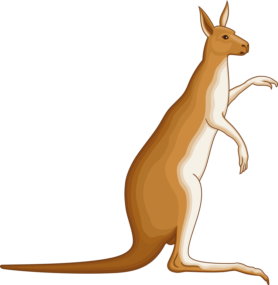 A Kangaroo Standing On Its Hind Legs