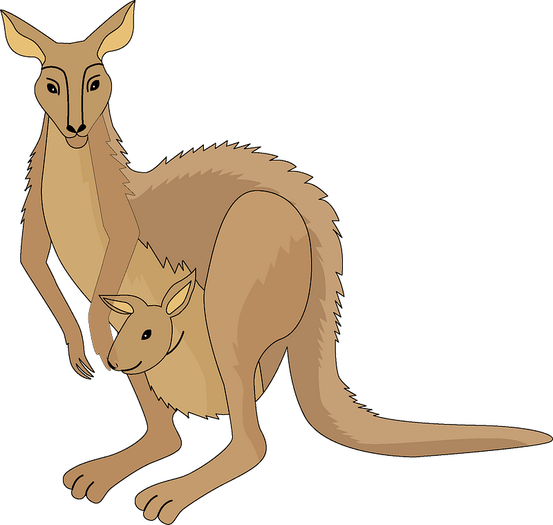 A Kangaroo With A Baby Kangaroo