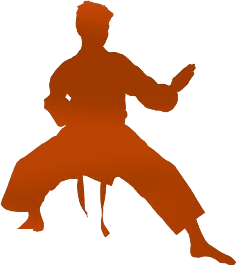 A Silhouette Of A Man In Karate Stance