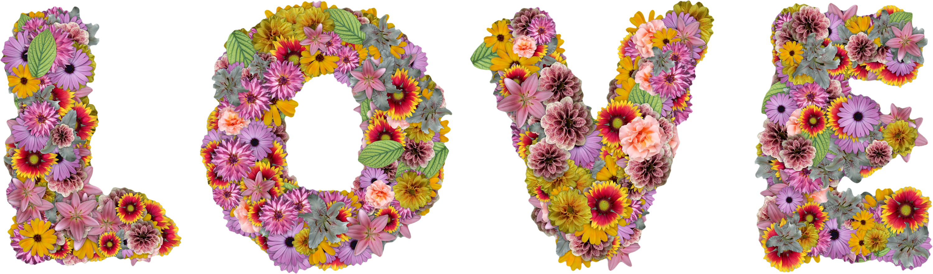 A Set Of Flowers In The Shape Of A Letter