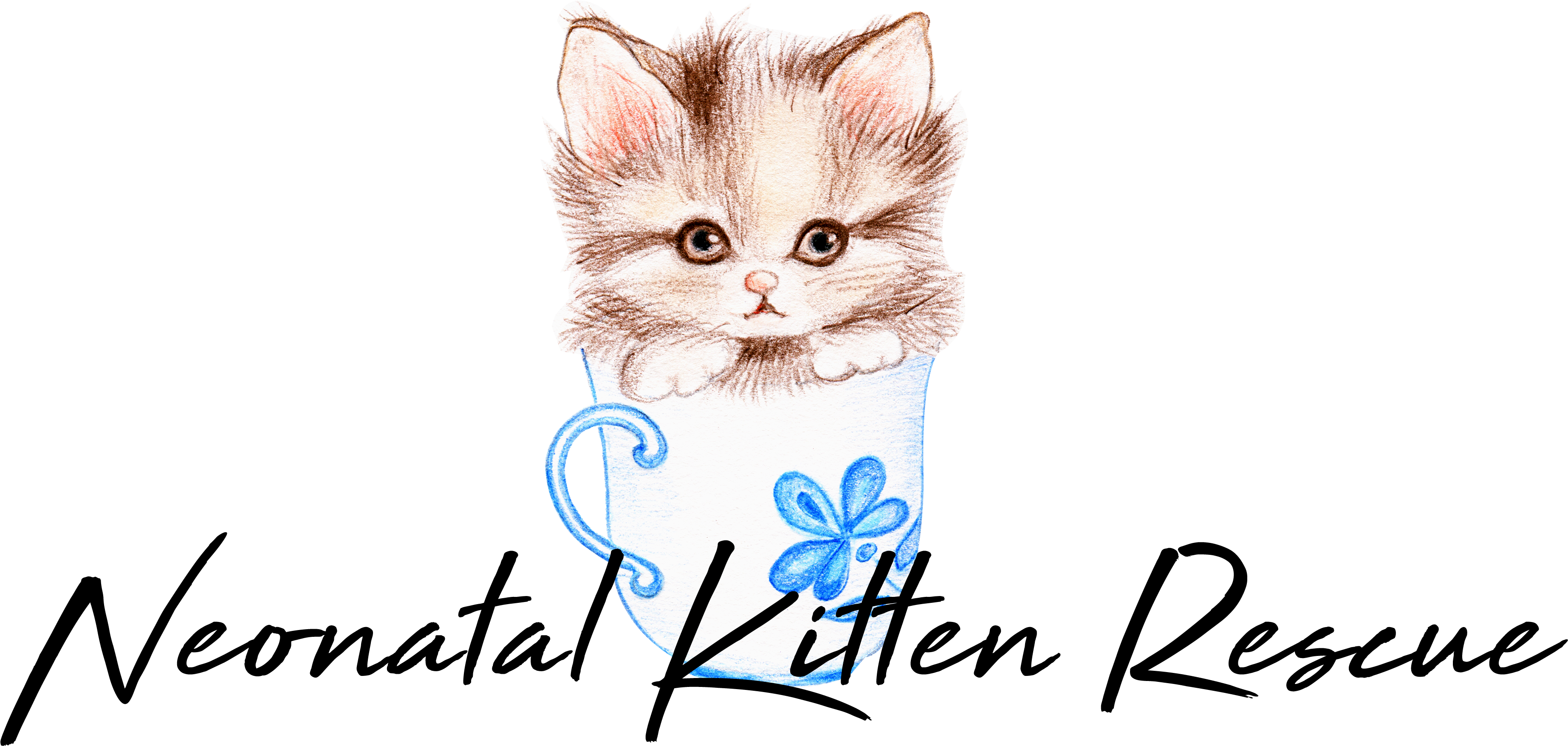 A Drawing Of A Kitten In A Tea Cup