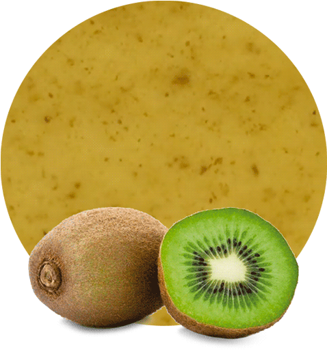 A Kiwi Fruit And A Half Of A Kiwi