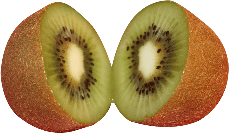 A Kiwi Cut In Half