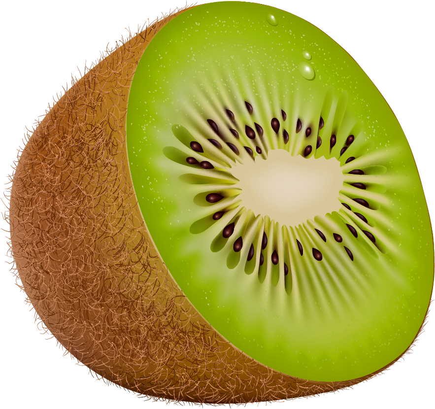 A Kiwi Cut In Half