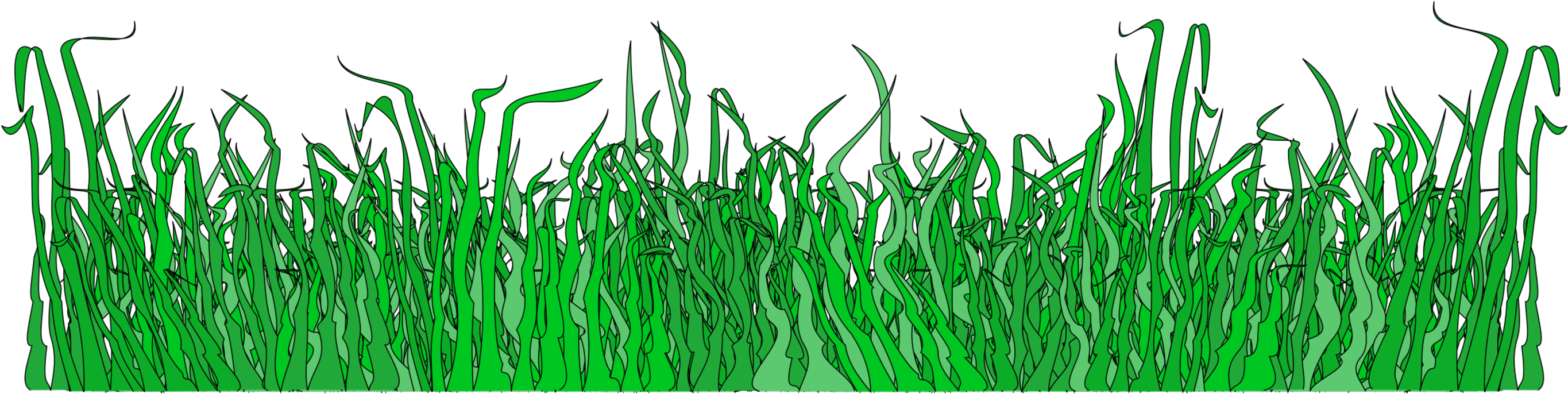 A Green Grass With Black Background