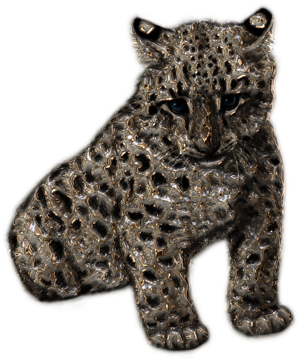 A Close Up Of A Leopard