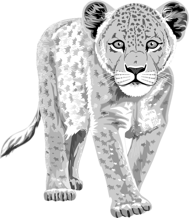 A Grey And White Image Of A Wild Cat