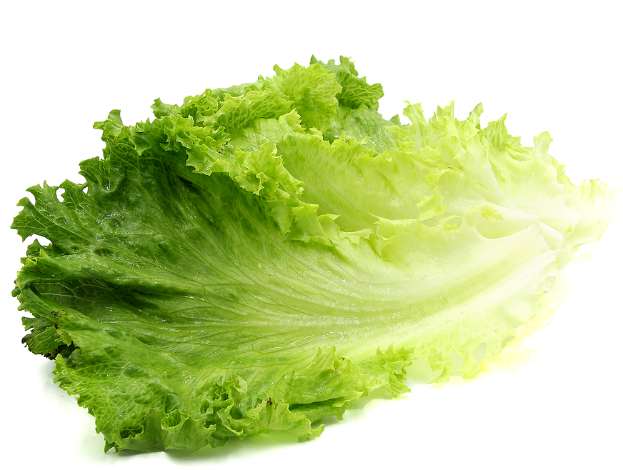 A Leafy Green Lettuce On A Black Background