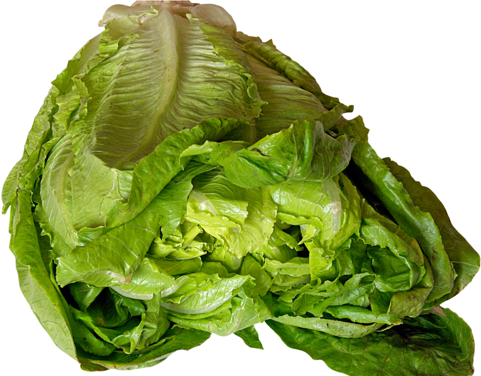 A Close Up Of A Lettuce