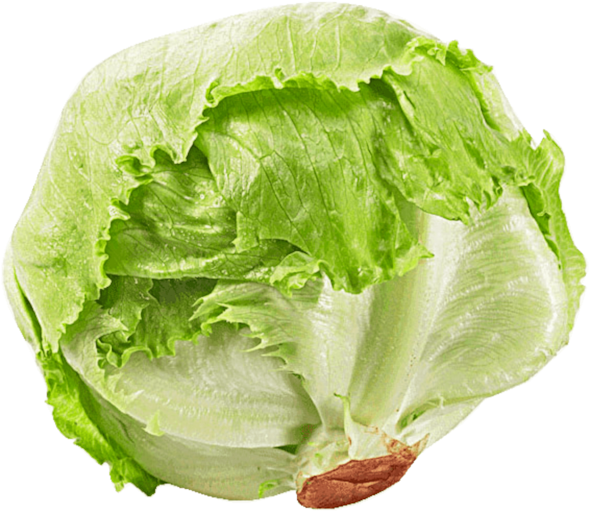 A Head Of Lettuce With A Black Background