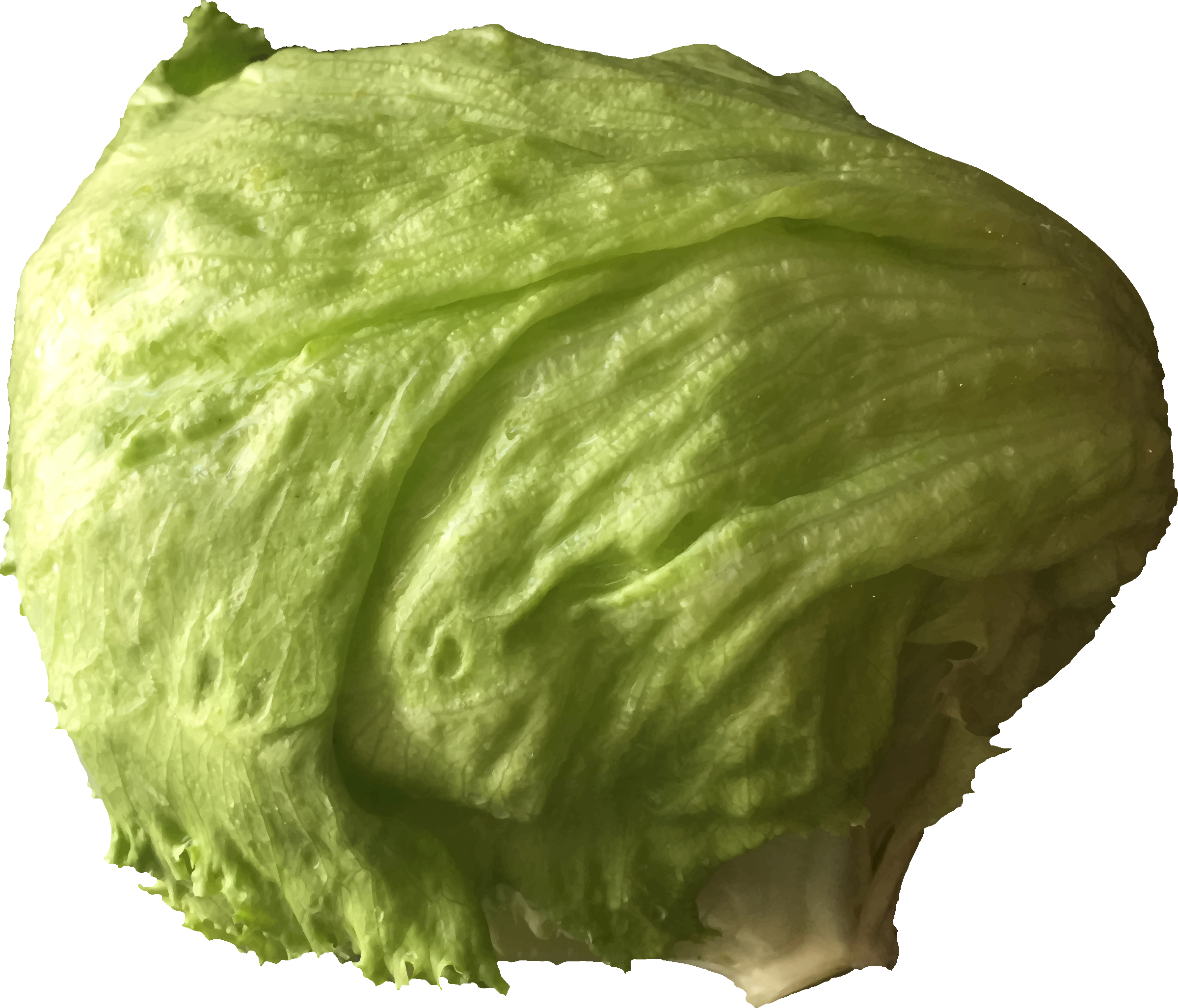 A Green Lettuce On A Black Background