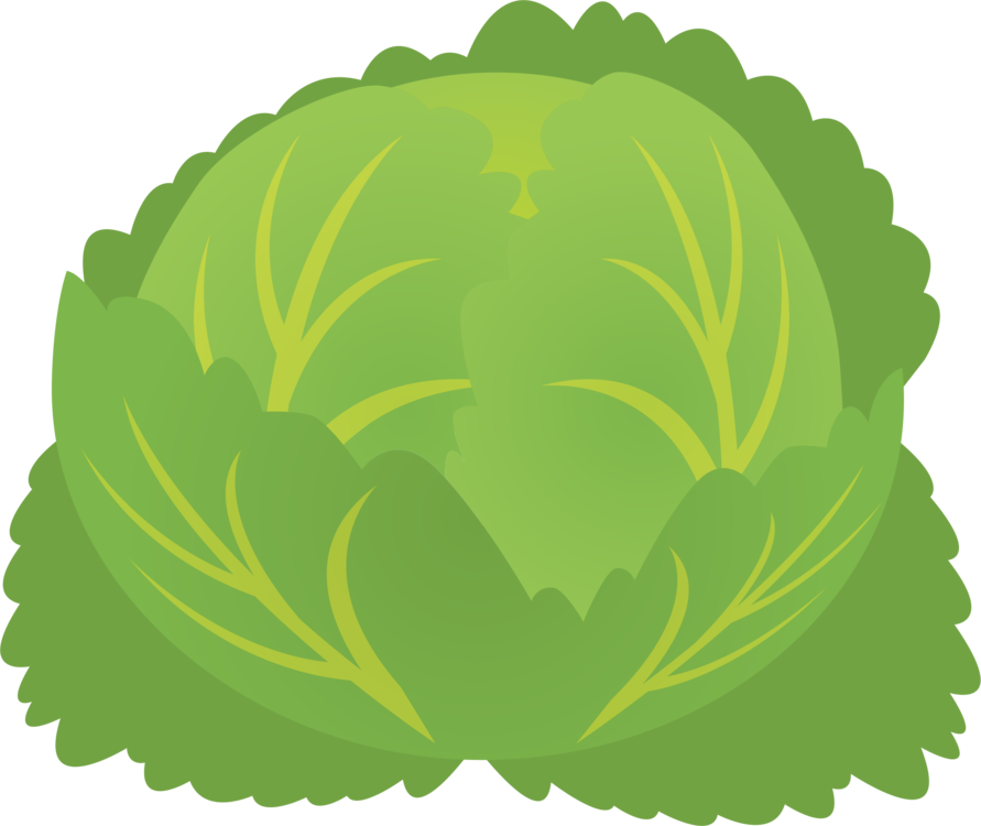 A Green Cabbage With Leaves