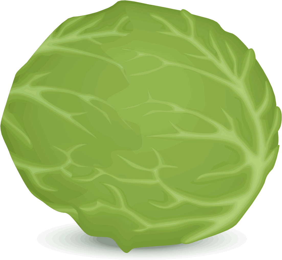 A Green Cabbage On A Black Background