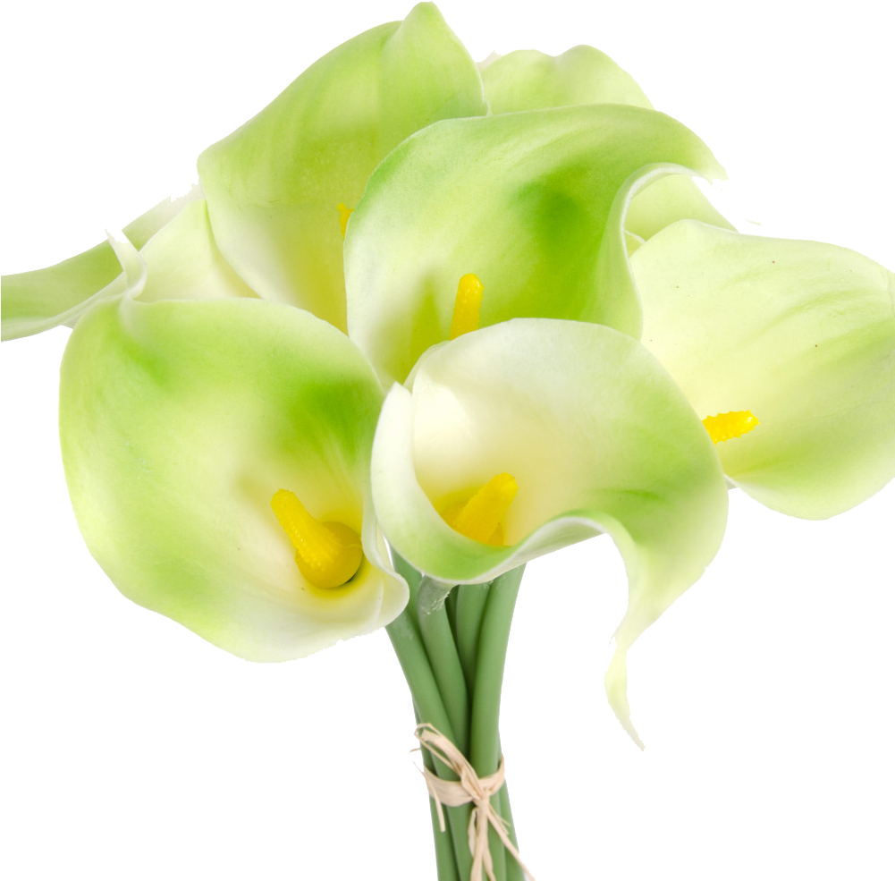 A Bouquet Of White And Green Flowers