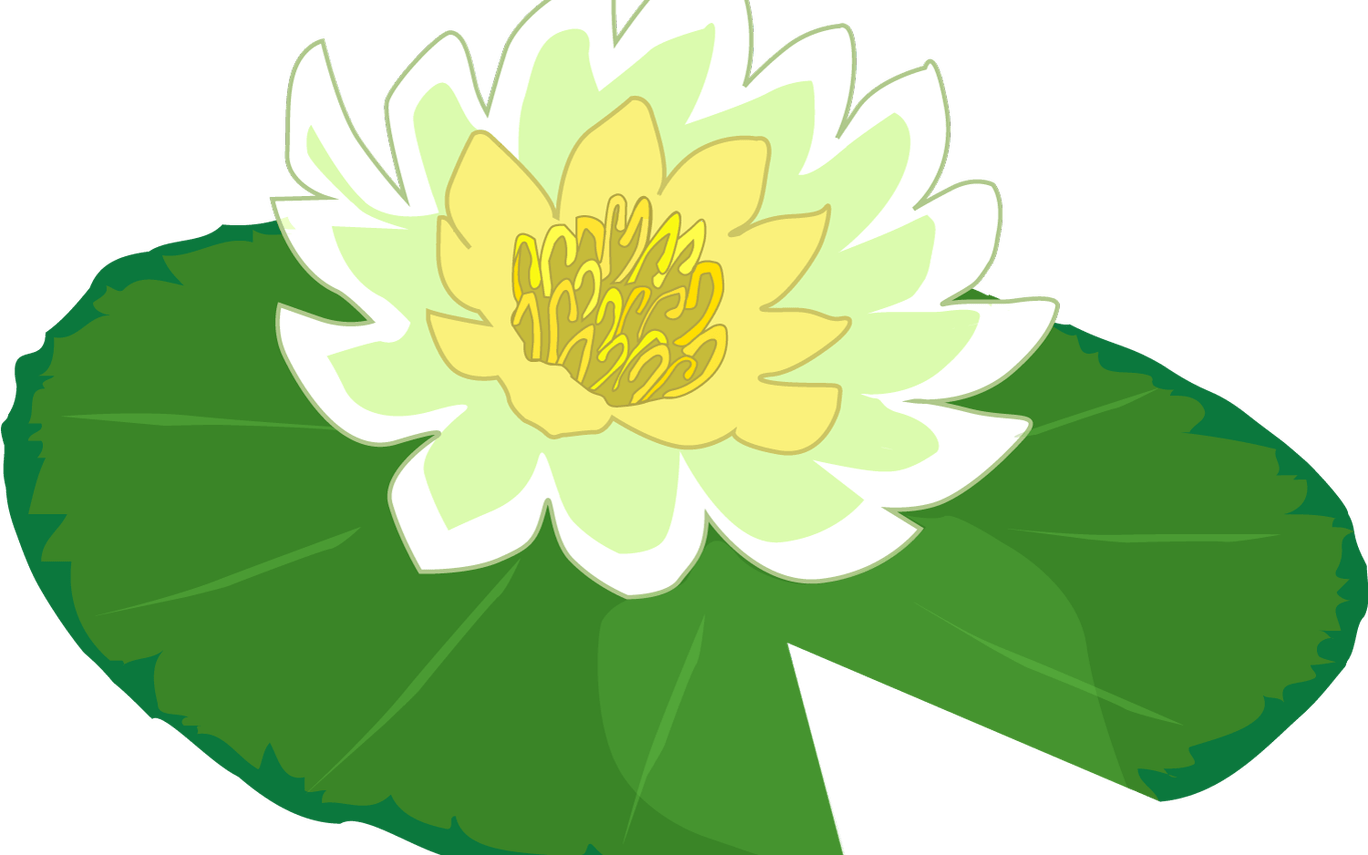 A Yellow Flower On A Green Leaf