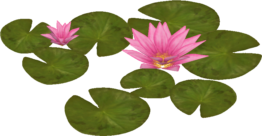 A Pink Flower And Green Leaves