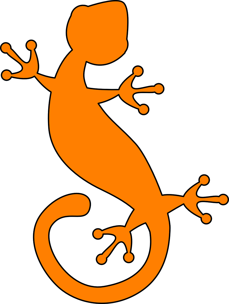 A Orange Lizard With Black Background