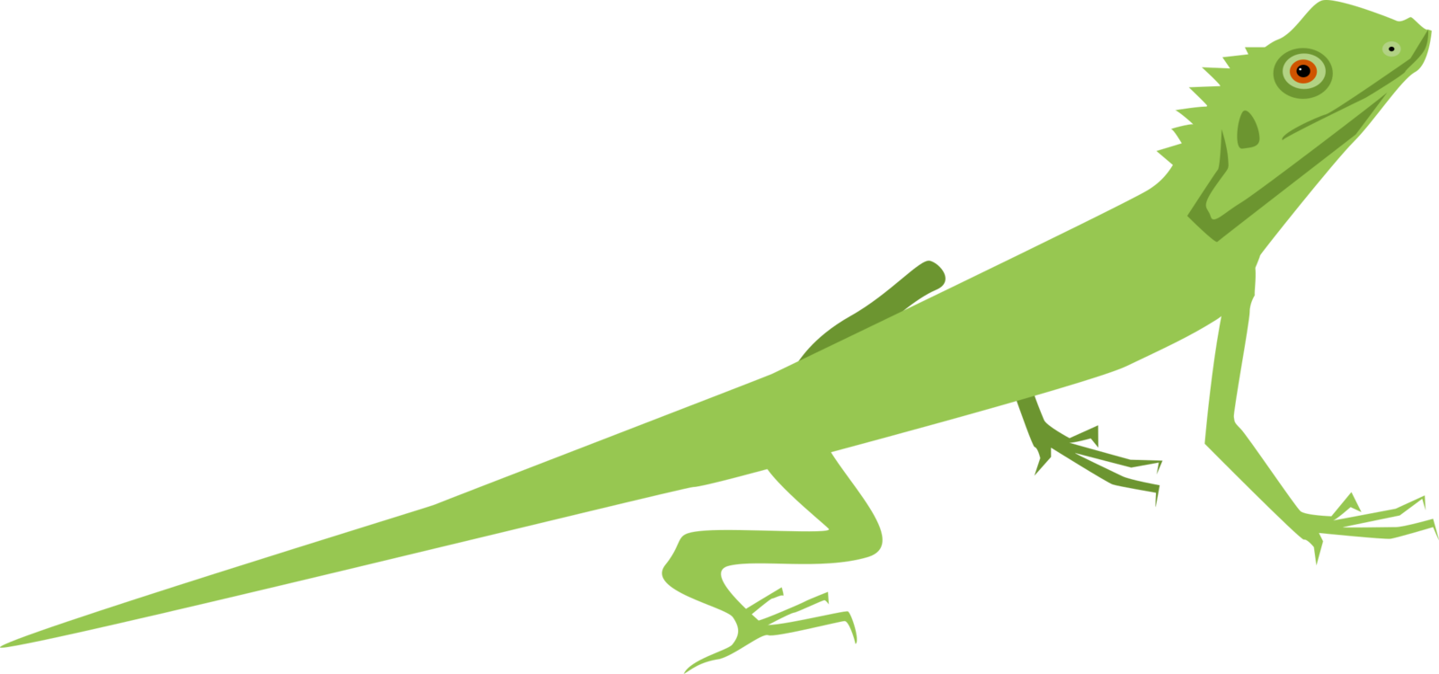 A Green Lizard With Black Background