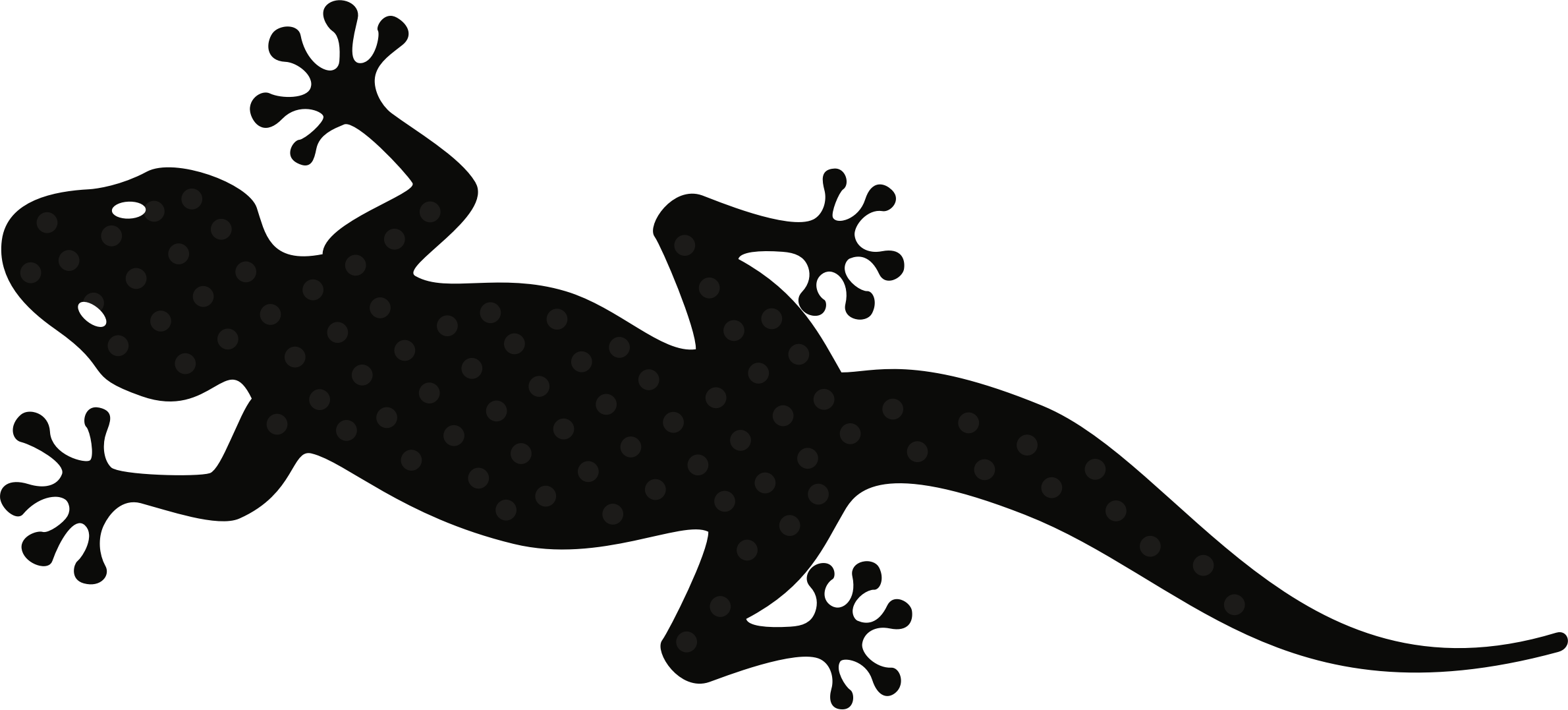 A Black Lizard With White Dots