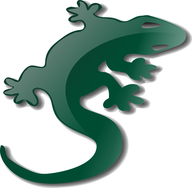 A Green Lizard With A Black Background