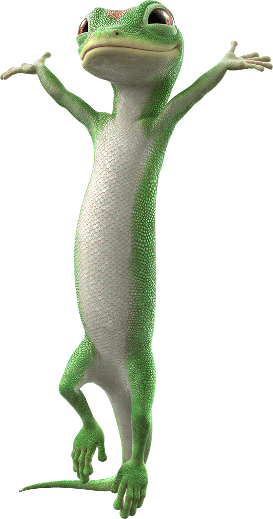 A Green And White Lizard Skin