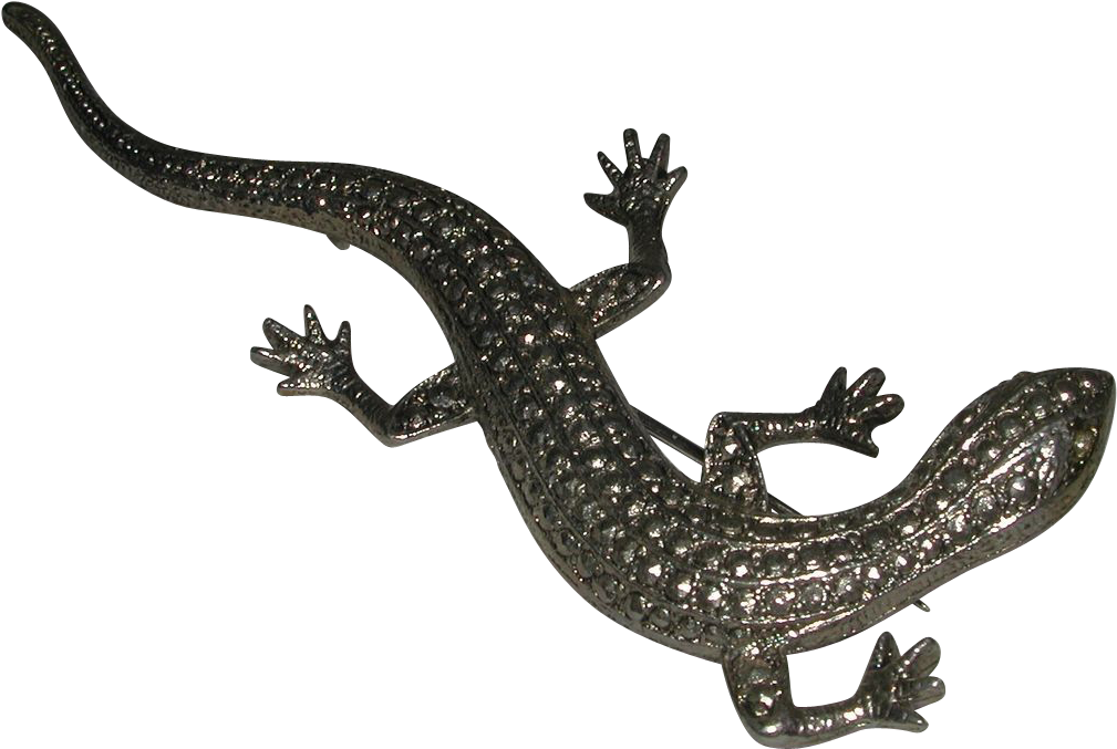 A Shiny Lizard On A Black Background