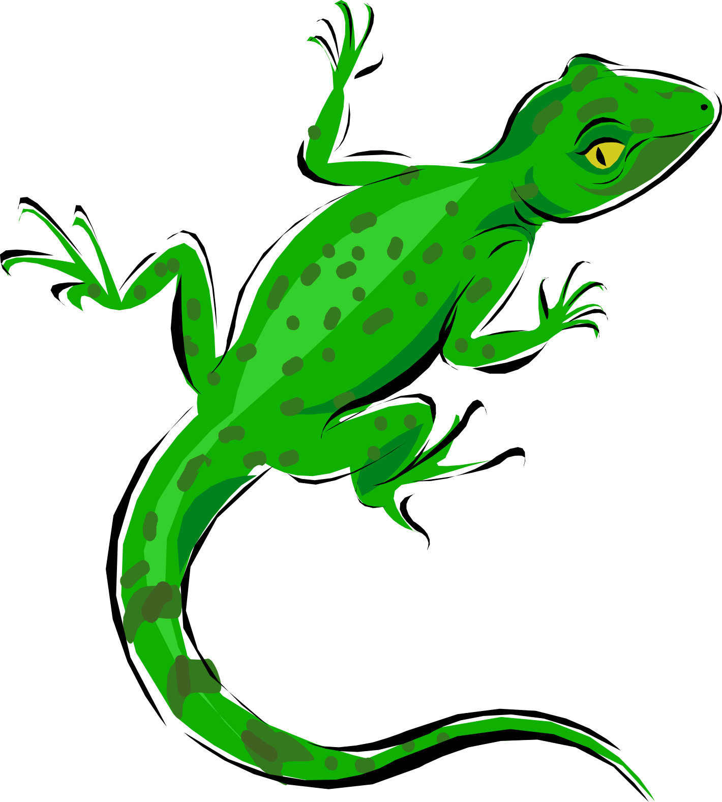 A Green Lizard With Black Spots