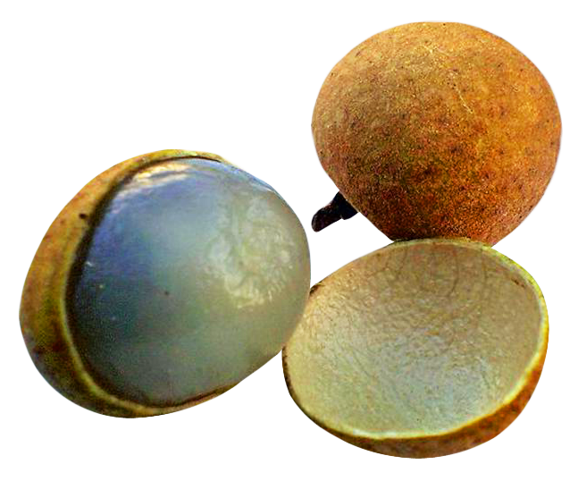 A Close Up Of A Fruit