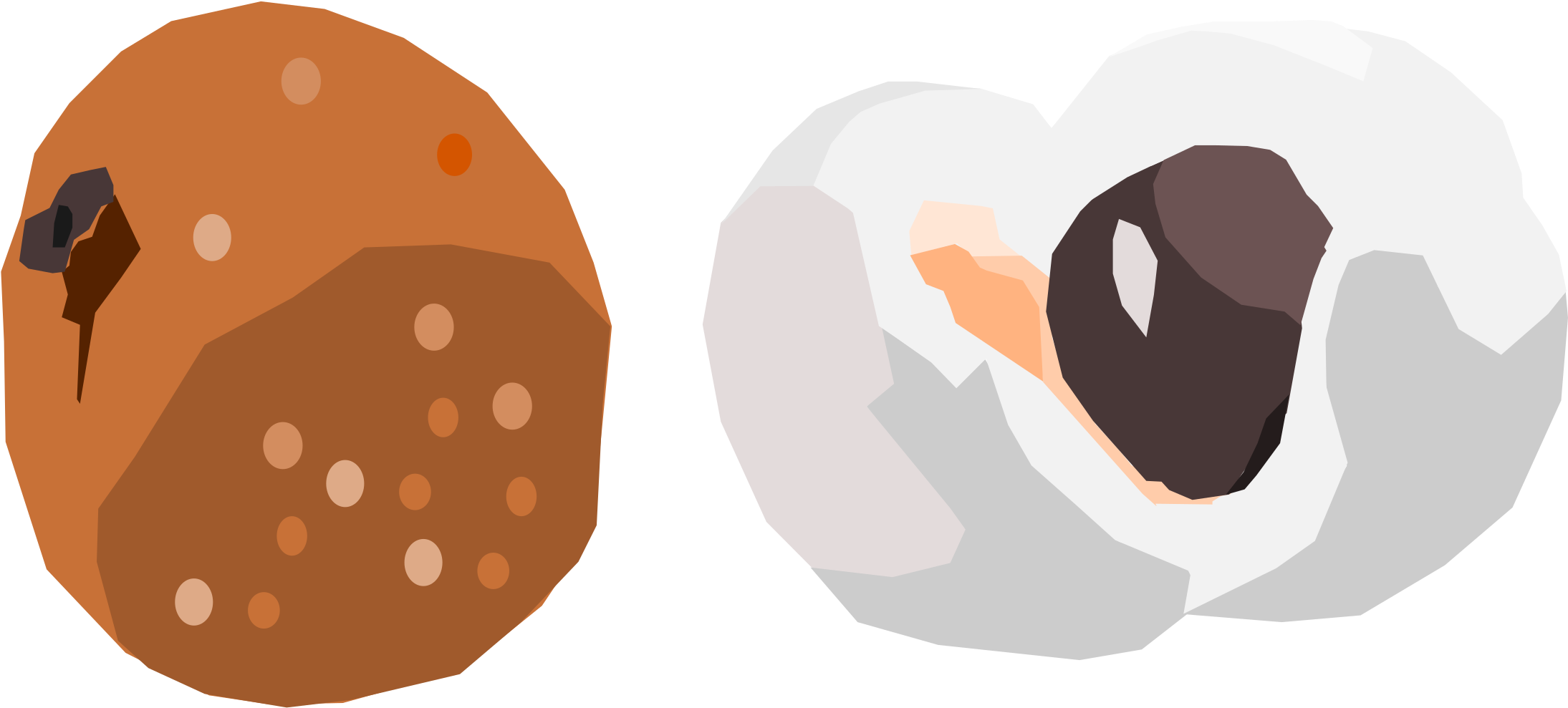 A Couple Of Eggs In A Circle