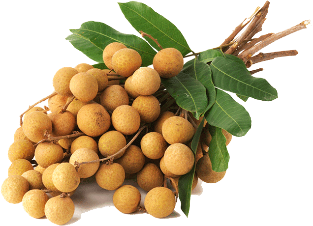 A Bunch Of Longan Fruit With Leaves