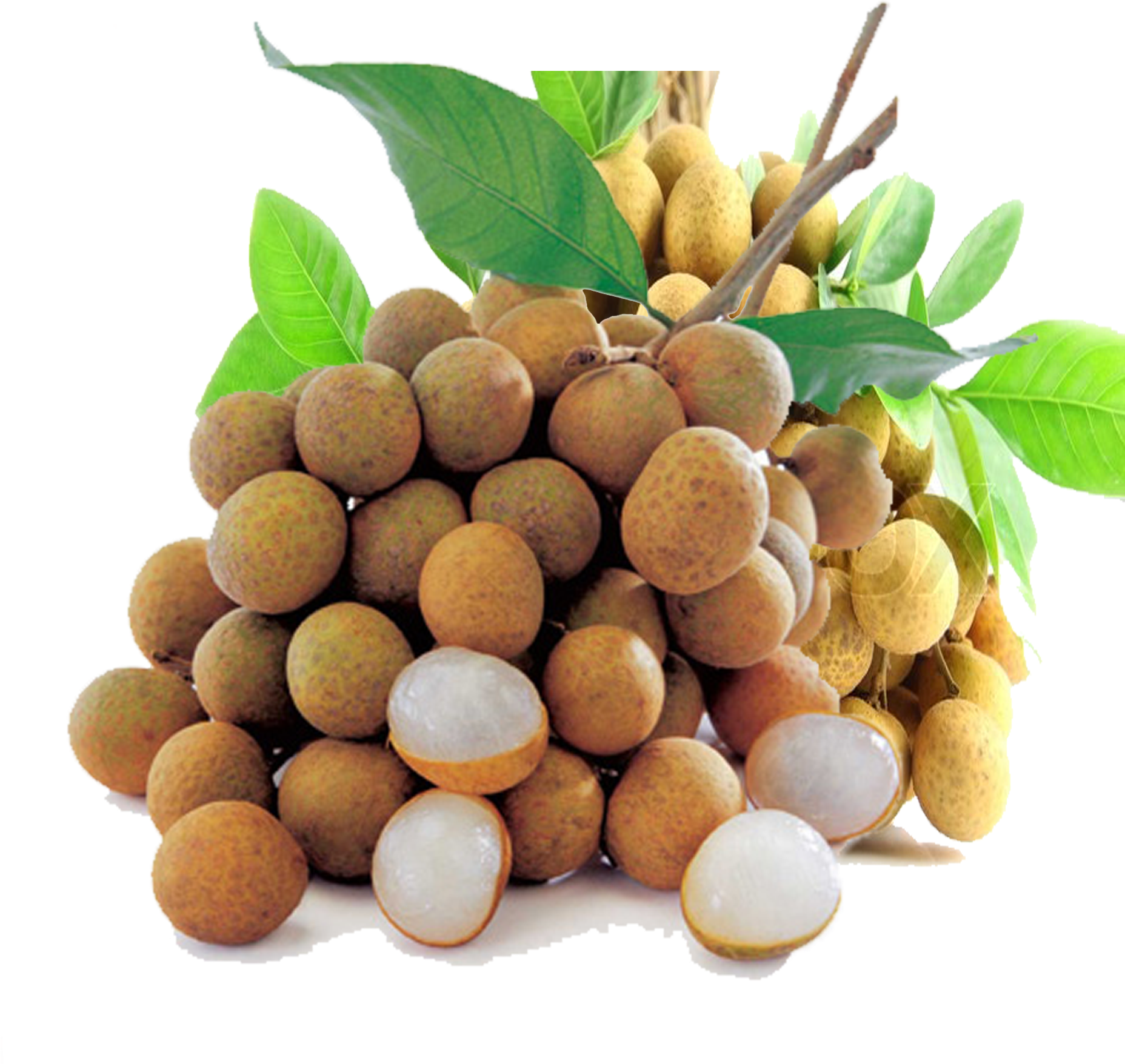 A Bunch Of Longan Fruits With Leaves