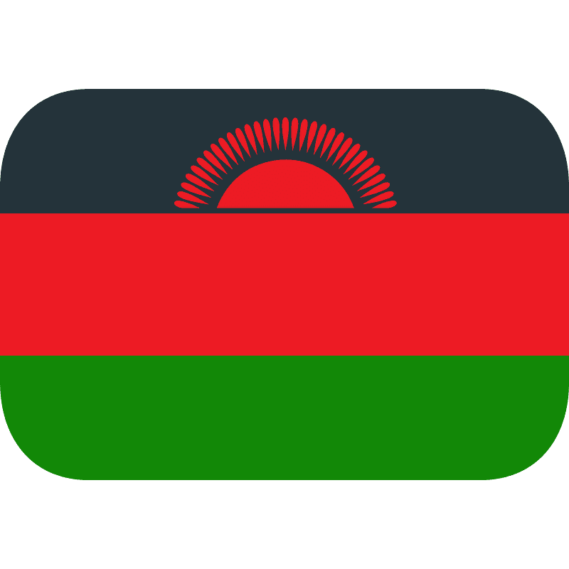 A Red Green And Black Flag
