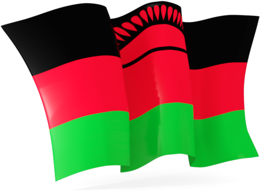 A Red Green And Black Flag