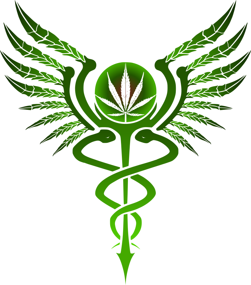 A Green Symbol With A Leaf And Wings