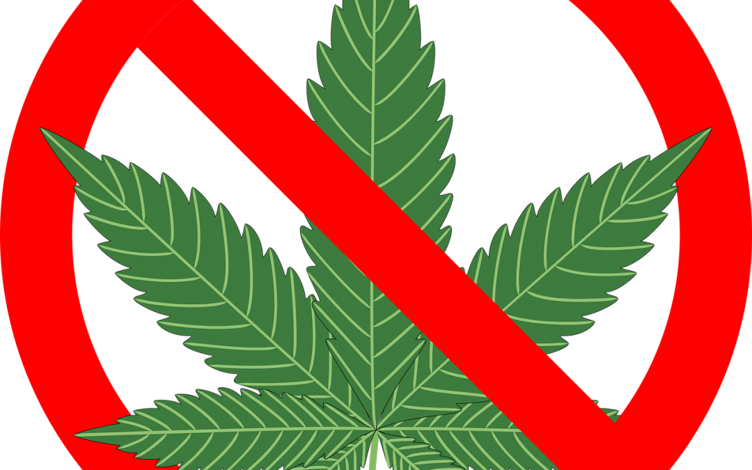A Green Leaf With A Red Ribbon