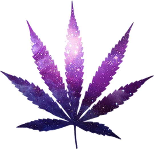 A Purple And Blue Leaf