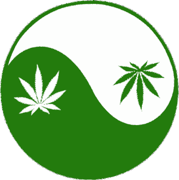 A Green And White Yin Yang Symbol With Leaves