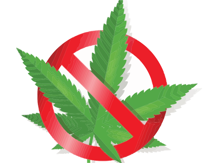 A No Marijuana Sign With Leaves