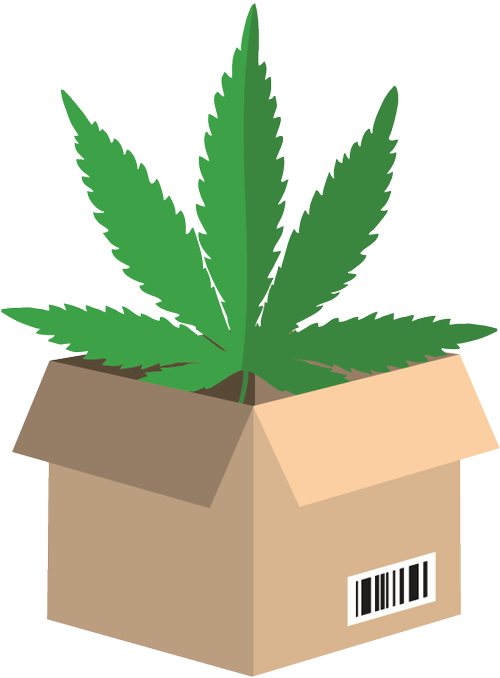 A Box With A Leafy Plant Inside