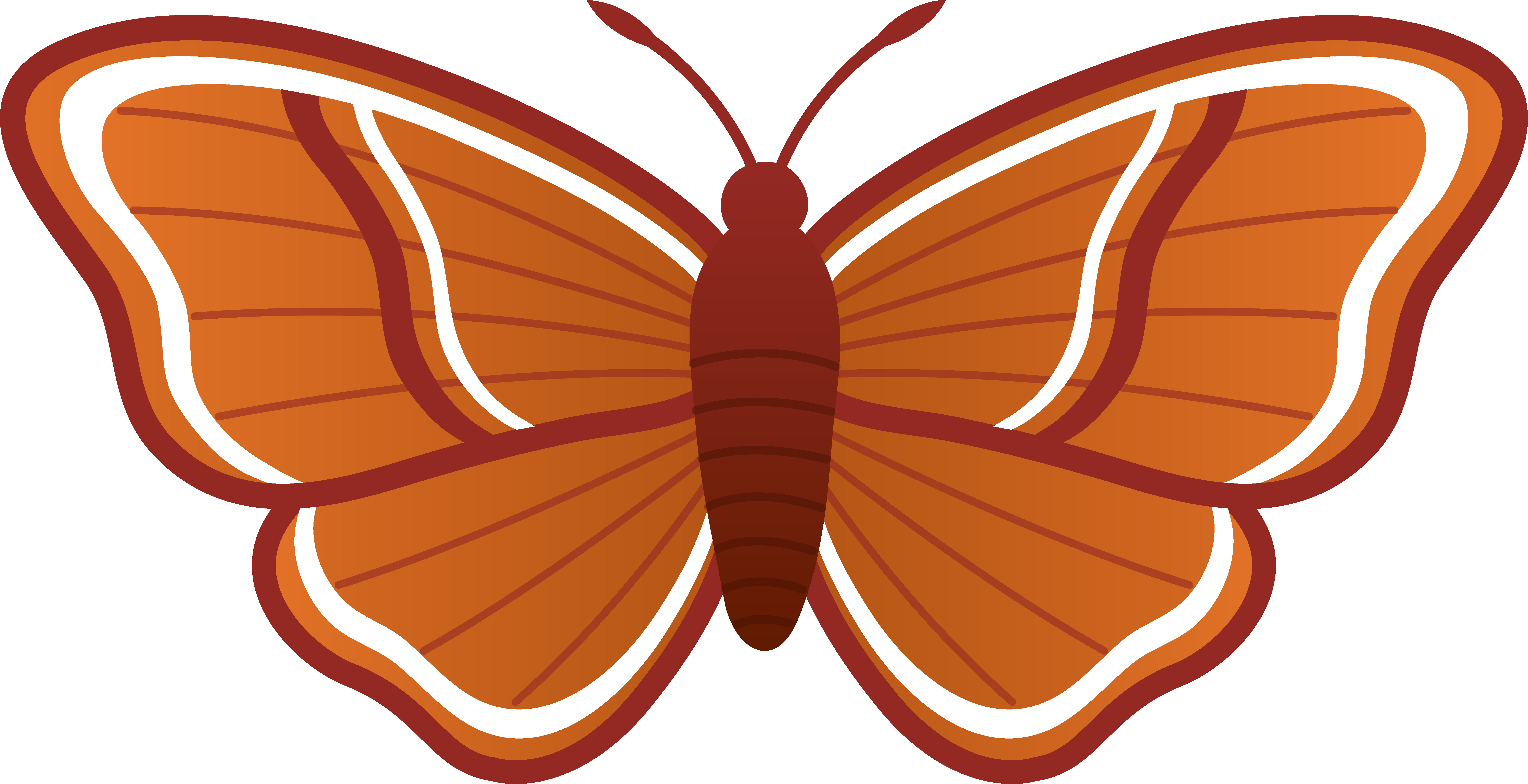 A Butterfly With White And Orange Wings