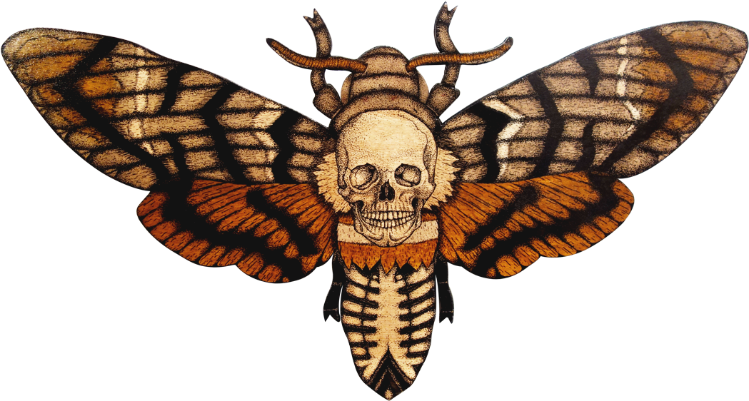 A Skull On A Moth