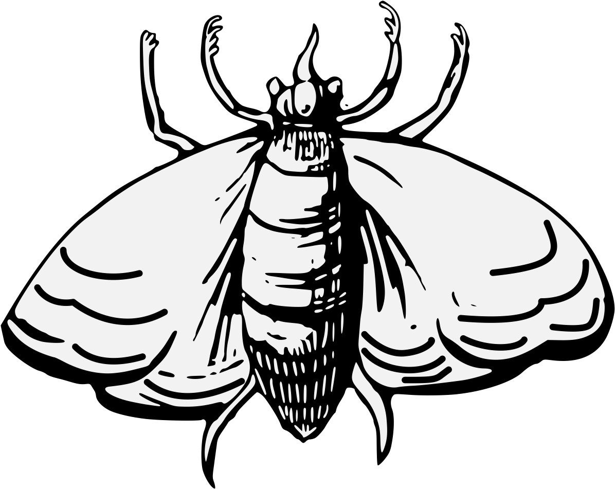 A Black And White Drawing Of A Bug