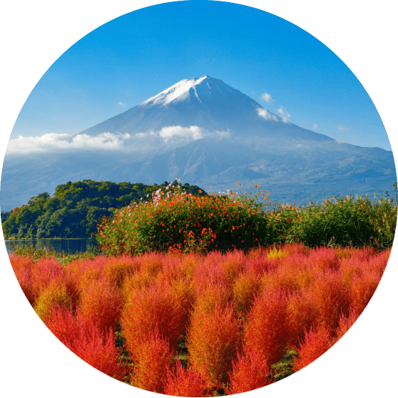 Mount Fuji Png 560 X 560