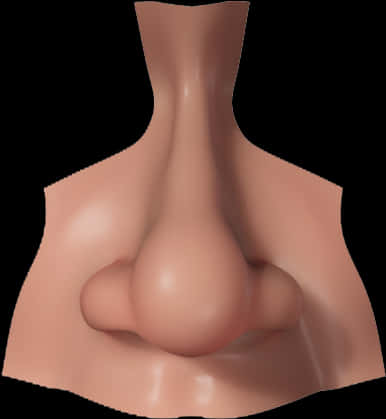 A Close Up Of A Nose