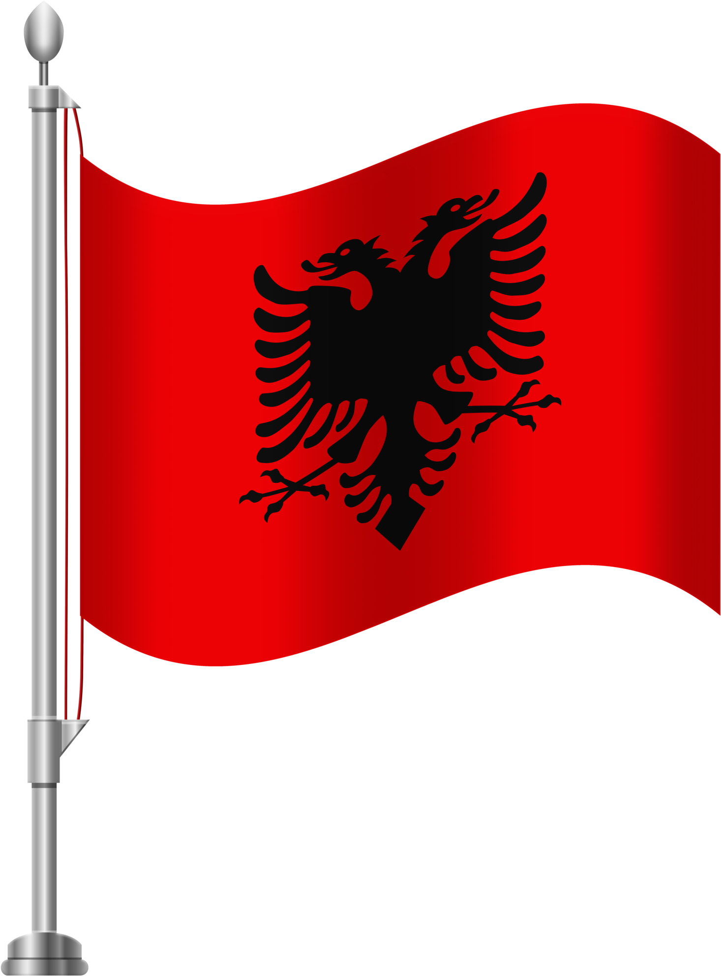 A Red Flag With A Black Eagle On It
