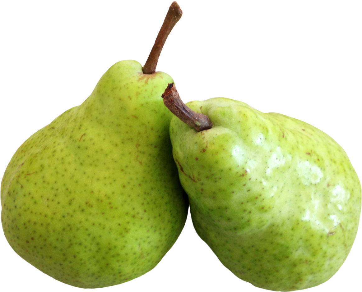 A Pair Of Green Pears