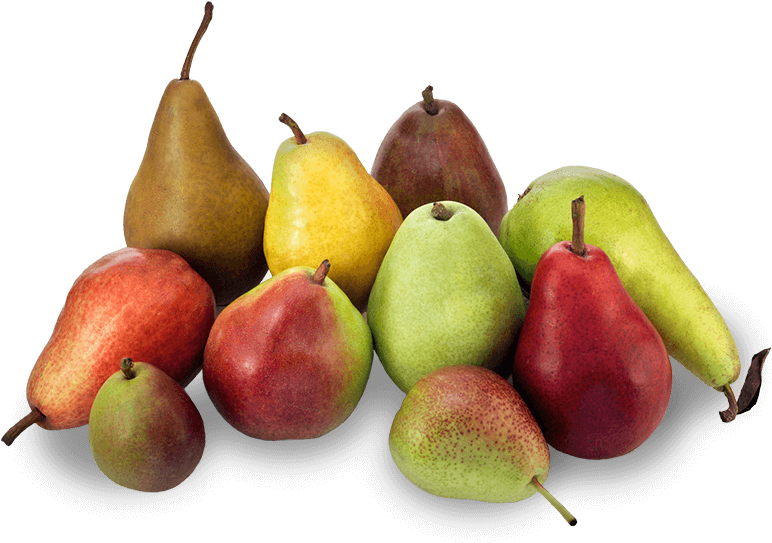 A Group Of Pears And Pears