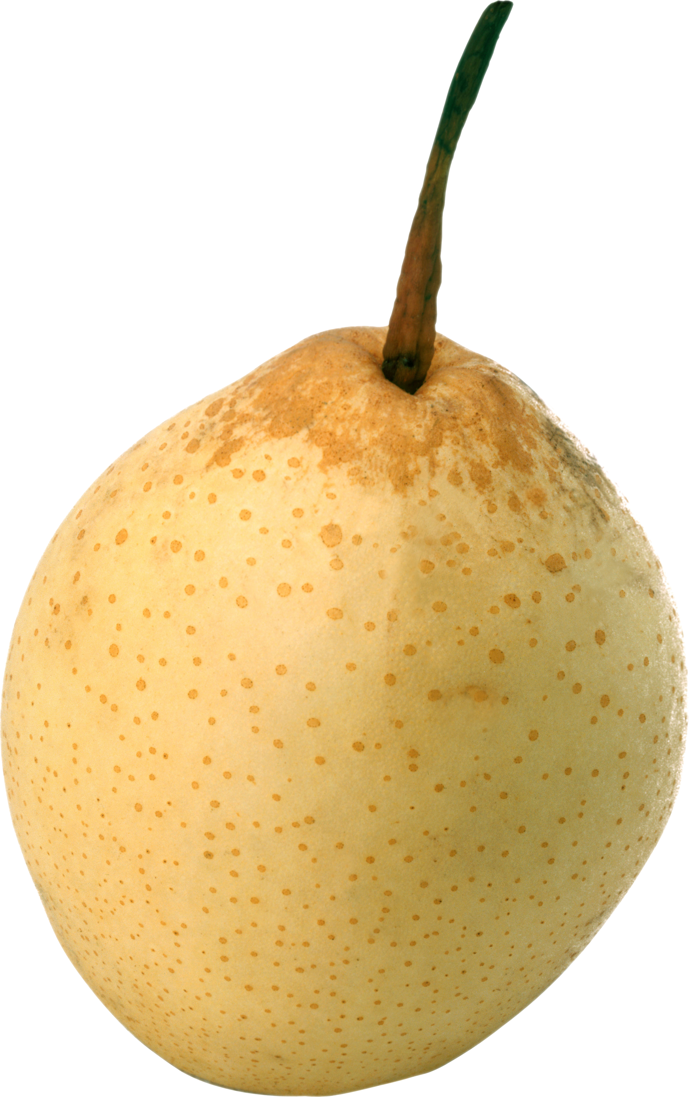 A Close Up Of A Pear