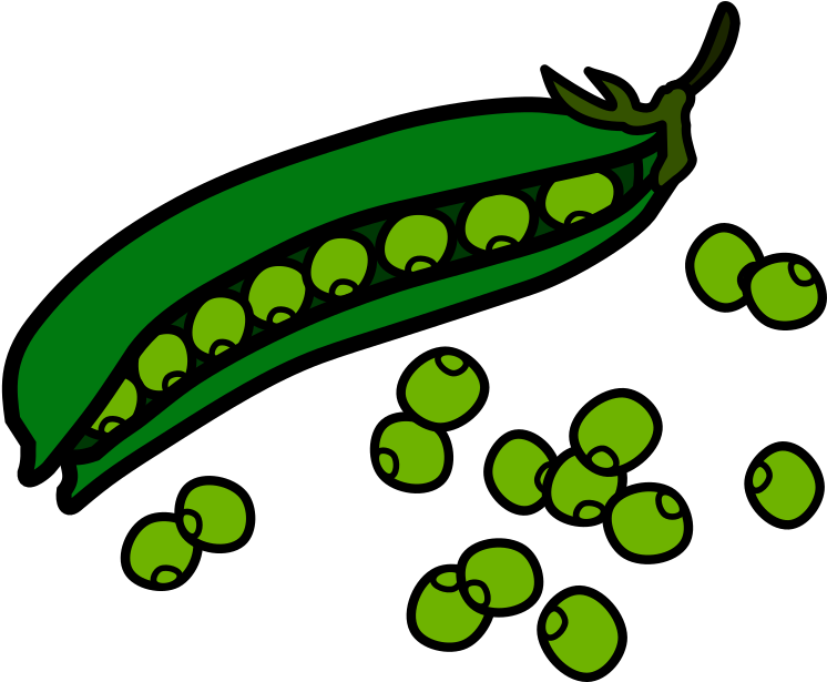 A Green Pea Pod With Many Green Round Objects